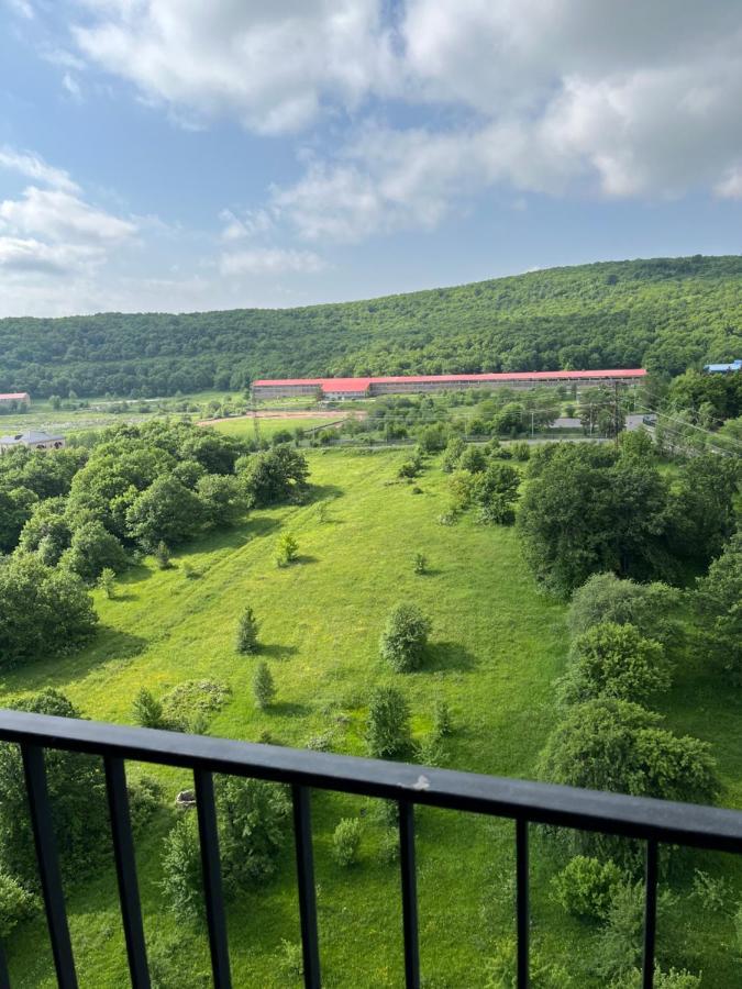 Цахкадзор, Tsaxkadzor, Kechi House Apartment 300 外观 照片